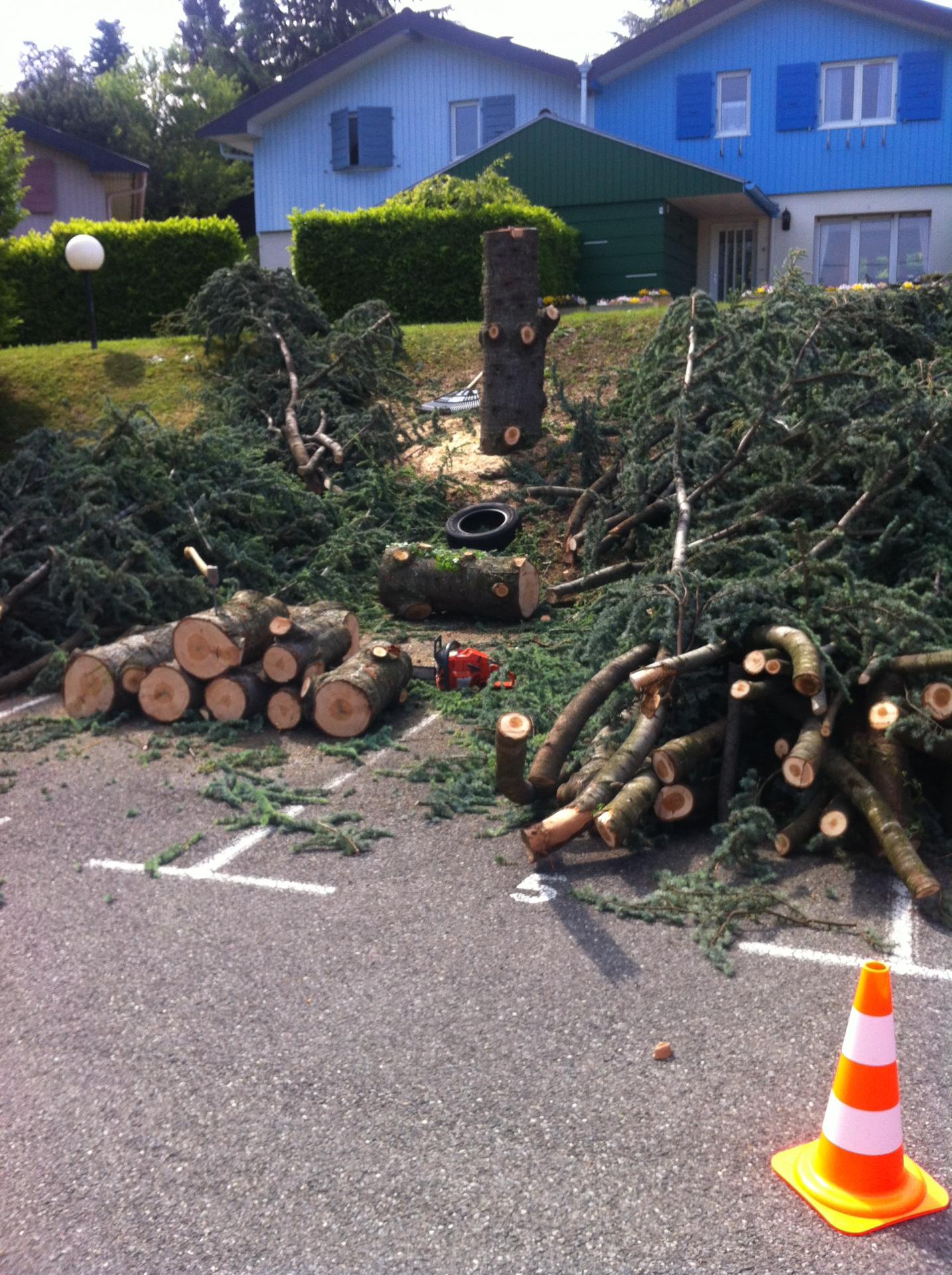 Tas de branches prêt à être broyé