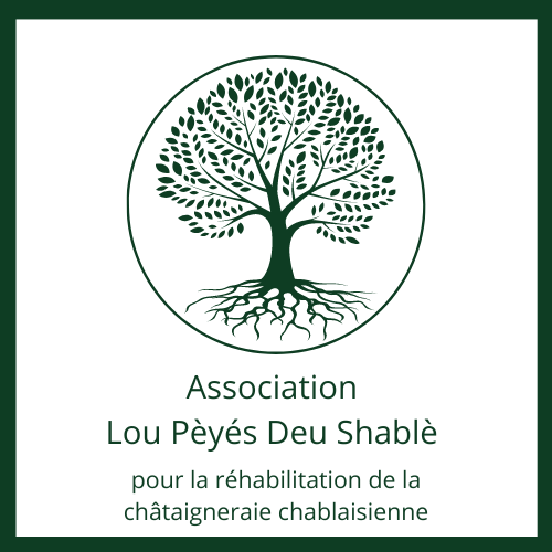 Logo Assos Lou Peyes