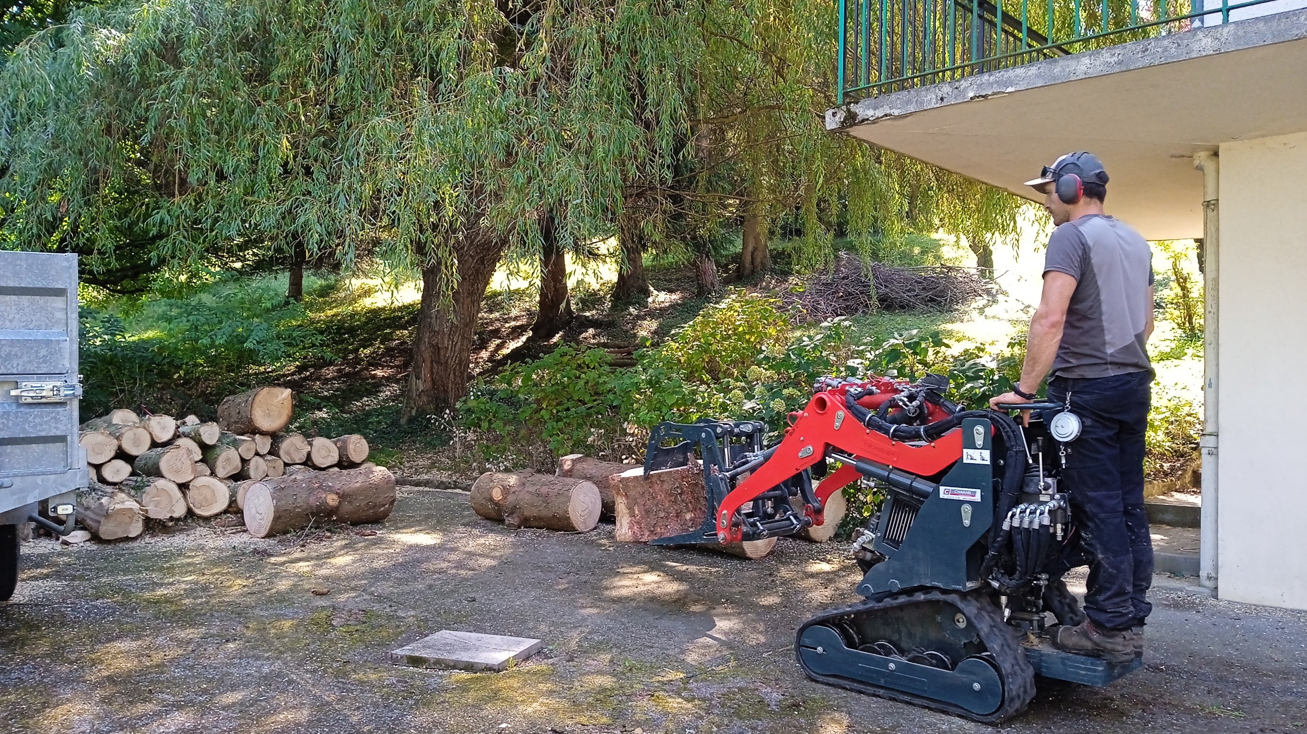 Démontage d'un épicéa