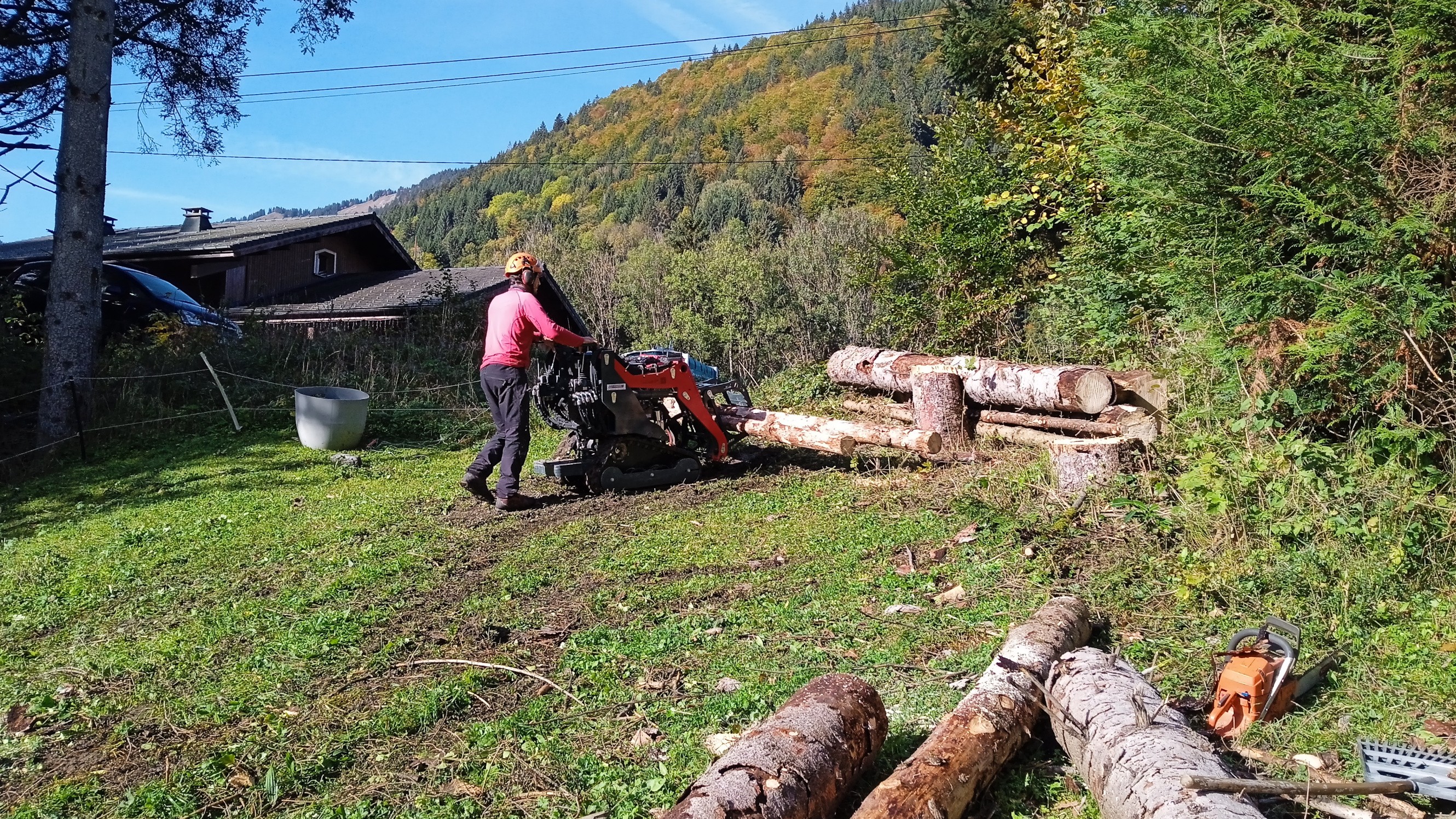3b. Abattage de 3 épicéas