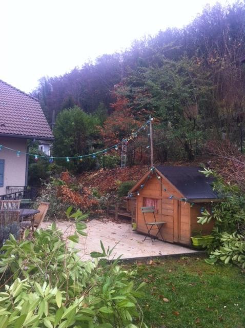5. Haie champêtre après intervention