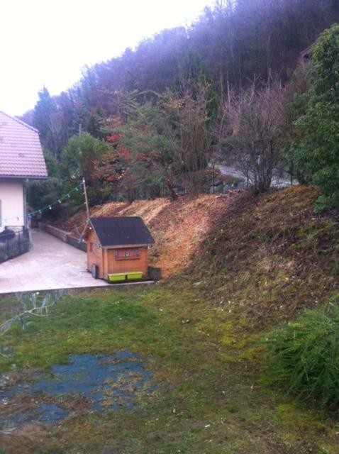 7. Haie champêtre convertie en haie libre