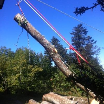 Évacuation de grumes de bois avec tyrolienne