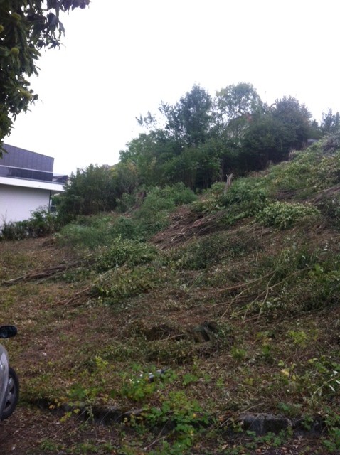 3. Mise en place d'une tyrolienne afin de descendre les tas 