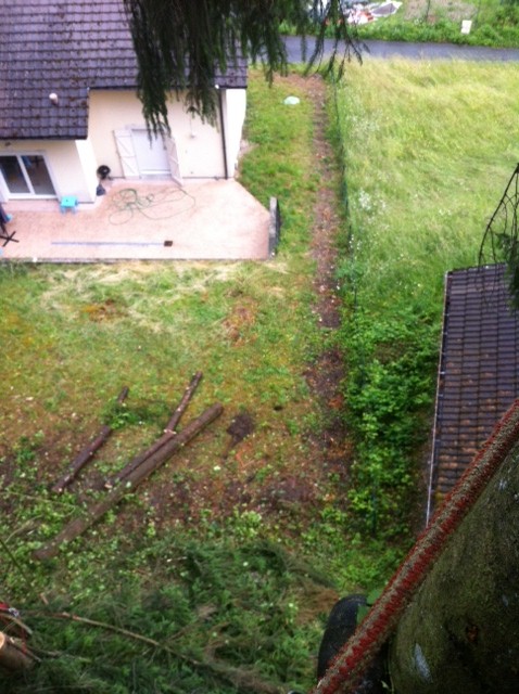 2. L'accès aux arbres