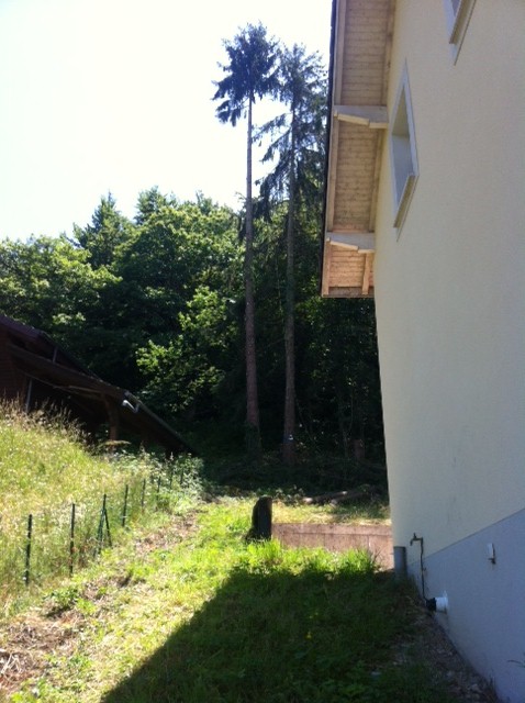 3a. Le démontage des branches